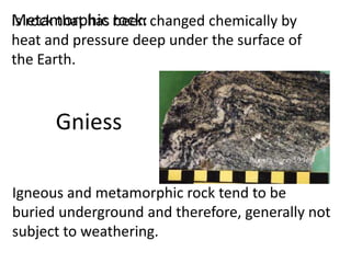 Metamorphic rock: changed chemically by
is rock that has been
heat and pressure deep under the surface of
the Earth.



      Gniess

Igneous and metamorphic rock tend to be
buried underground and therefore, generally not
subject to weathering.
 
