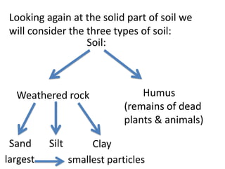 Looking again at the solid part of soil we
 will consider the three types of soil:
                   Soil:



  Weathered rock                  Humus
                              (remains of dead
                              plants & animals)

 Sand     Silt        Clay
largest          smallest particles
 
