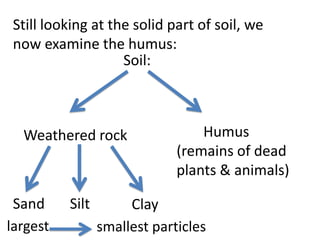Still looking at the solid part of soil, we
 now examine the humus:
                    Soil:



  Weathered rock                  Humus
                              (remains of dead
                              plants & animals)

 Sand     Silt        Clay
largest          smallest particles
 