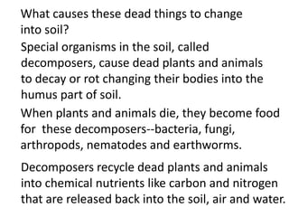 What causes these dead things to change
into soil?
Special organisms in the soil, called
decomposers, cause dead plants and animals
to decay or rot changing their bodies into the
humus part of soil.
When plants and animals die, they become food
for these decomposers--bacteria, fungi,
arthropods, nematodes and earthworms.
Decomposers recycle dead plants and animals
into chemical nutrients like carbon and nitrogen
that are released back into the soil, air and water.
 