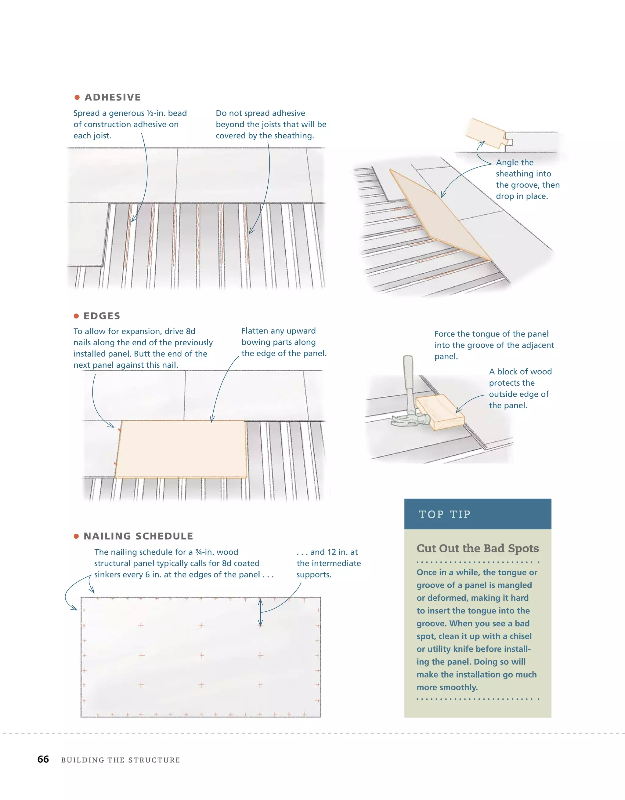 66 BUilding	THe	sTrUcTUre
• ADHESIVE
• EDGES
Spread a generous ½-in. bead
of construction adhesive on
each joist.
Do not spread adhesive
beyond the joists that will be
covered by the sheathing.
Angle the
sheathing into
the groove, then
drop in place.
Force the tongue of the panel
into the groove of the adjacent
panel.
• NAILING SCHEDULE
The nailing schedule for a ¾-in. wood
structural panel typically calls for 8d coated
sinkers every 6 in. at the edges of the panel . . .
. . . and 12 in. at
the intermediate
supports.
Flatten any upward
bowing parts along
the edge of the panel.
A block of wood
protects the
outside edge of
the panel.
To allow for expansion, drive 8d
nails along the end of the previously
installed panel. Butt the end of the
next panel against this nail.
Cut Out the Bad Spots
Once in a while, the tongue or
groove of a panel is mangled
or deformed, making it hard
to insert the tongue into the
groove. When you see a bad
spot, clean it up with a chisel
or utility knife before install-
ing the panel. Doing so will
make the installation go much
more smoothly.
ToP	TiP
of construction adhesive on
each joist.
beyond the joists that will be
covered by the sheathing.
 