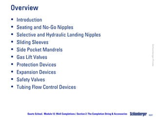 The Completion String & Accessories.pdf