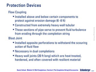 The Completion String & Accessories.pdf
