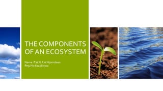 THE COMPONENTS
OF AN ECOSYSTEM
Name :T.W.G.F.A Nijamdeen
Reg.No:612260302
 