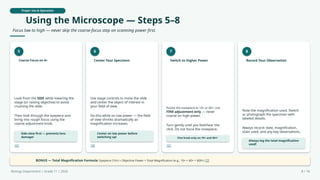 Proper Use & Operation
Using the Microscope — Steps 5–8
Focus low to high — never skip the coarse-focus step on scanning power first.
5
Coarse Focus on 4×
Look from the SIDE while lowering the
stage (or raising objective) to avoid
crushing the slide.
Then look through the eyepiece and
bring into rough focus using the
coarse adjustment knob.
Side-view first — prevents lens
damage!
[2]
6
Center Your Specimen
Use stage controls to move the slide
and center the object of interest in
your field of view.
Do this while on low power — the field
of view shrinks dramatically as
magnification increases.
Center on low power before
switching up!
[3]
7
Switch to Higher Power
Rotate the nosepiece to 10× or 40×. Use
FINE adjustment only — never
coarse on high power.
Turn gently until you feel/hear the
click. Do not force the nosepiece.
Fine knob only on 10× and 40×!
[2]
8
Record Your Observation
Note the magnification used. Sketch
or photograph the specimen with
labeled details.
Always record: date, magnification,
stain used, and any key observations.
Always log the total magnification
used!
BONUS — Total Magnification Formula: Eyepiece (10×) × Objective Power = Total Magnification (e.g., 10× × 40× = 400×) [2]
Biology Department | Grade 11 | 2026 8 / 16
 