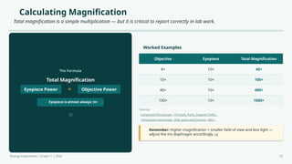 Calculating Magnification
Total magnification is a simple multiplication — but it is critical to report correctly in lab work.
The Formula
Total Magnification
Eyepiece Power × Objective Power
Eyepiece is almost always 10×
[2]
Worked Examples
Sources:
Compound Microscope – Principle, Parts, Diagram Defin...
Compound microscope - their parts and function - Micr...
Remember: Higher magnification = smaller field of view and less light —
adjust the iris diaphragm accordingly. [3]
Biology Department | Grade 11 | 2026 10
Objective Eyepiece Total Magnification
4× 10× 40×
10× 10× 100×
40× 10× 400×
100× 10× 1000×
 