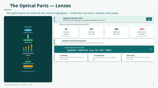 The Optical Parts — Lenses
The optical parts are what do the actual magnifying — know them by name, location, and power.
Light Path
Eyepiece (10×)
Nosepiece
4× 10× 40× 100×
Stage
Condenser / Iris
Illuminator
Simplified optical path
Eyepiece (Ocular Lens)
The lens you look through — standard magnification: 10× [1]
10×
Objective Lenses (on Revolving Nosepiece) [2]
4×
Scanning
Total: 40×
Widest field of view
10×
Low Power
Total: 100×
40×
High Power
Total: 400×
100×
Oil Immersion
Total: 1000×
Use immersion oil only
Nosepiece (Revolving Nosepiece)
Rotating turret that holds and switches between objective lenses [1]
Total Magnification Formula
Eyepiece × Objective (e.g., 10× × 40× = 400×)
[2]
Condenser
Below the stage; focuses light onto the
specimen [3]
Iris Diaphragm
Controls light through the condenser
[3]
Illuminator
Built-in light source; replaces the older
mirror [3]
Biology Department | Grade 11 | 2026 4
 