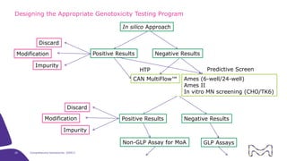 The Comprehensive Guide to Genotoxicity Assessment | PDF | Genetics ...
