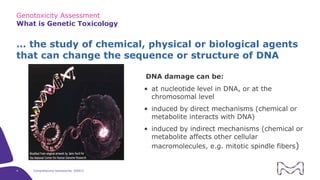 The Comprehensive Guide to Genotoxicity Assessment | PDF