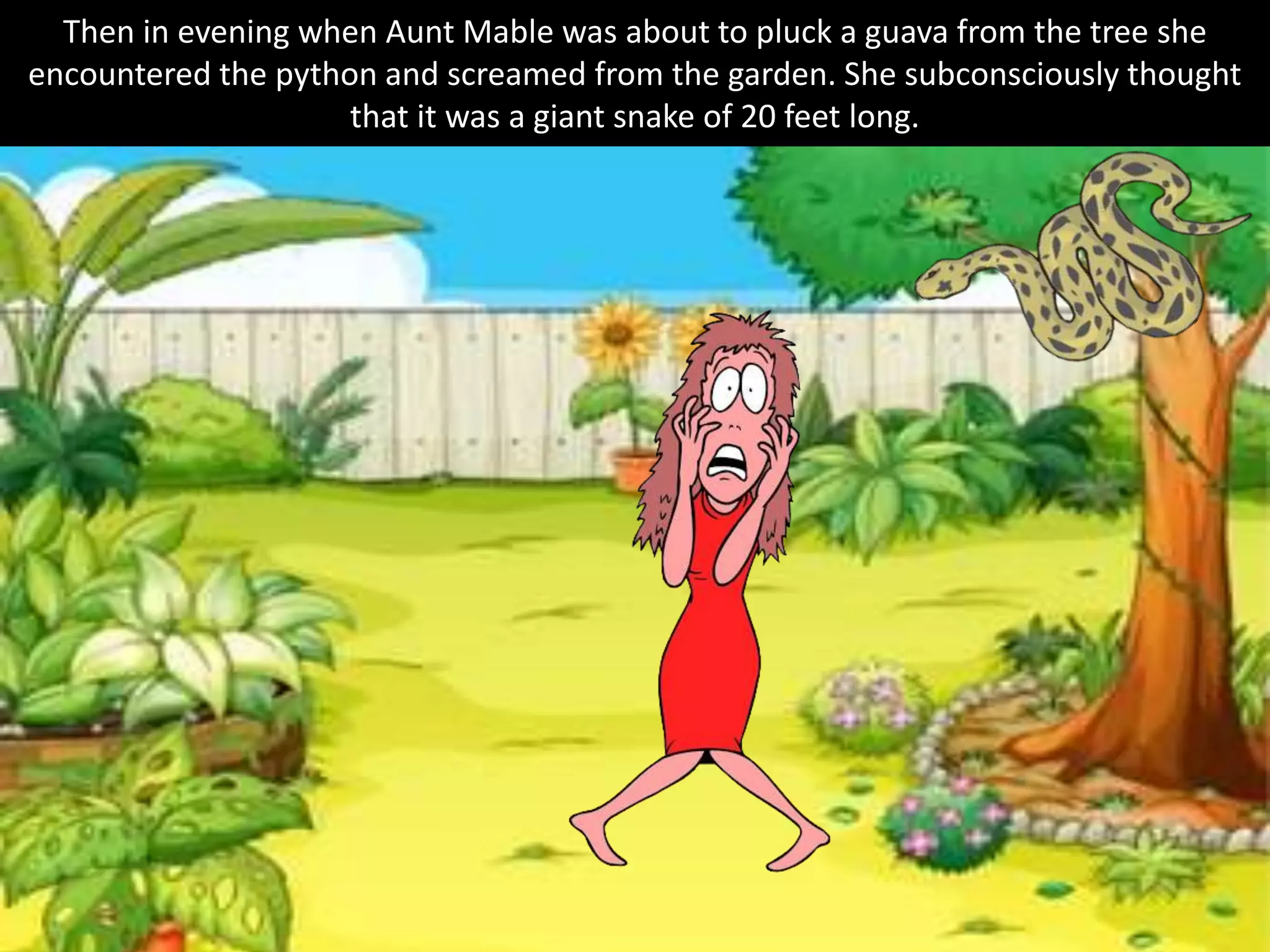 Then in evening when Aunt Mable was about to pluck a guava from the tree she
encountered the python and screamed from the garden. She subconsciously thought
that it was a giant snake of 20 feet long.
 