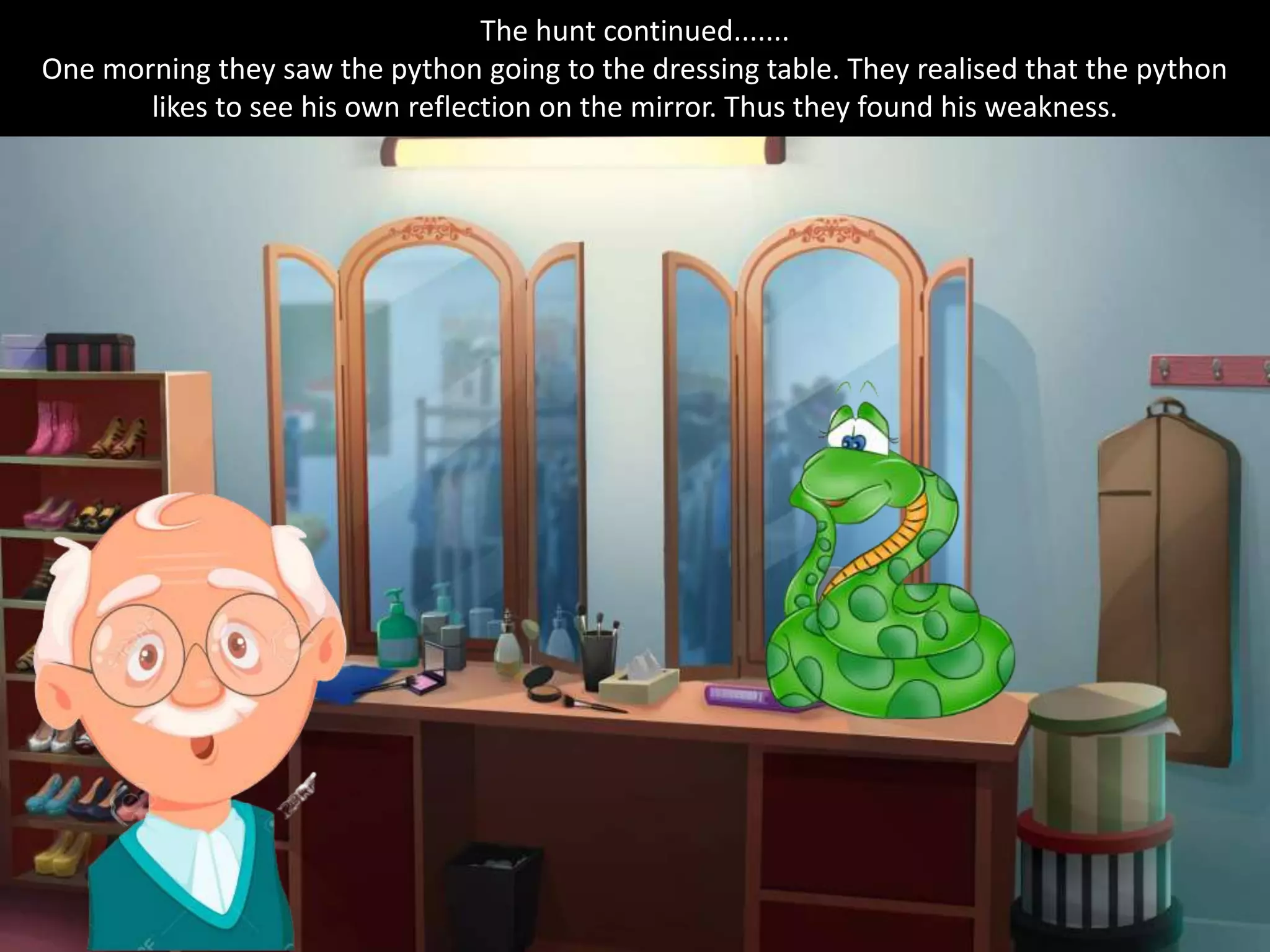 The hunt continued.......
One morning they saw the python going to the dressing table. They realised that the python
likes to see his own reflection on the mirror. Thus they found his weakness.
 