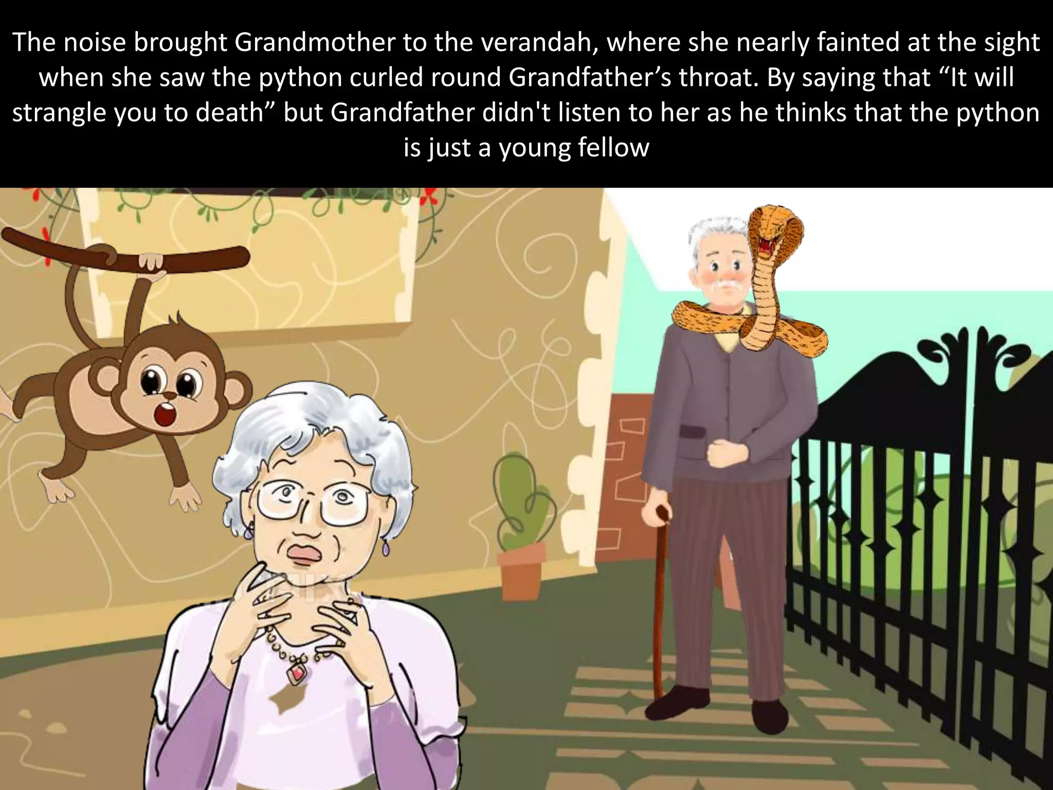 The noise brought Grandmother to the verandah, where she nearly fainted at the sight
when she saw the python curled round Grandfather’s throat. By saying that “It will
strangle you to death” but Grandfather didn't listen to her as he thinks that the python
is just a young fellow
 