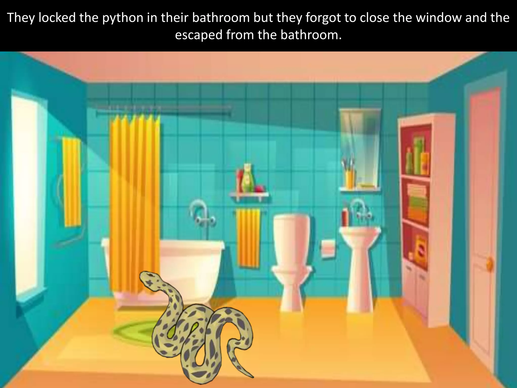 They locked the python in their bathroom but they forgot to close the window and the
escaped from the bathroom.
 