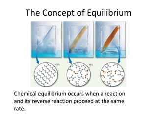 The Concept of Equilibrium 	Chemical equilibrium occurs when a reaction and its reverse reaction proceed at the same rate. 