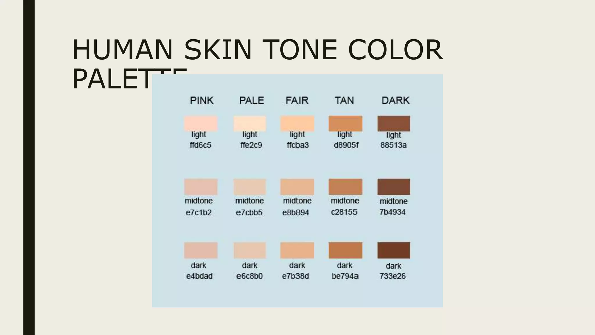 HUMAN SKIN TONE COLOR
PALETTE