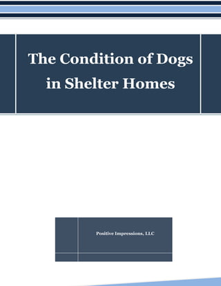 The Condition of Dogs
in Shelter Homes
Positive Impressions, LLC
 