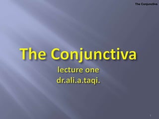 The ConjunctivaThe ConjunctivaThe ConjunctivaThe Conjunctiva
1
 