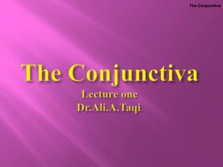 The Conjunctiva
 