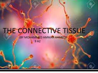 DSSSSSSSSSFFD
THE CONNECTIVE TISSUE
(BY MOHAMMED AMMAR AHMED)
9 A2
 