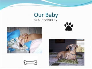 Our Baby SAM CONNELLY 