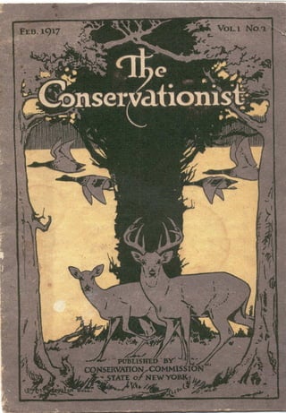 The conservationist 1917