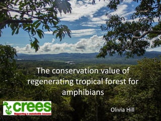 The conservation value of
regenerating tropical forest for
amphibians
Olivia Hill
 