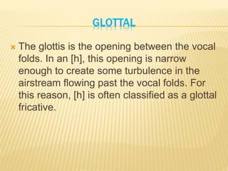 GLOTTAL 
 The glottis is the opening between the vocal 
folds. In an [h], this opening is narrow 
enough to create some turbulence in the 
airstream flowing past the vocal folds. For 
this reason, [h] is often classified as a glottal 
fricative. 
 