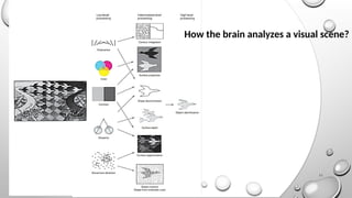 Structured Visual Process Constructive Nature of Visual Processing | PPT
