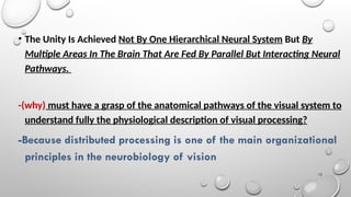Constructive Nature of Visual Processing | PPT