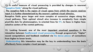 Constructive Nature of Visual Processing | PPT