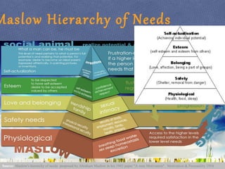 Maslow Hierarchy of Needs
Source: Maslow's hierarchy of needs proposed by Abraham Maslow in his 1943 paper "A man Motivation". Motivation & Personality 1954
 