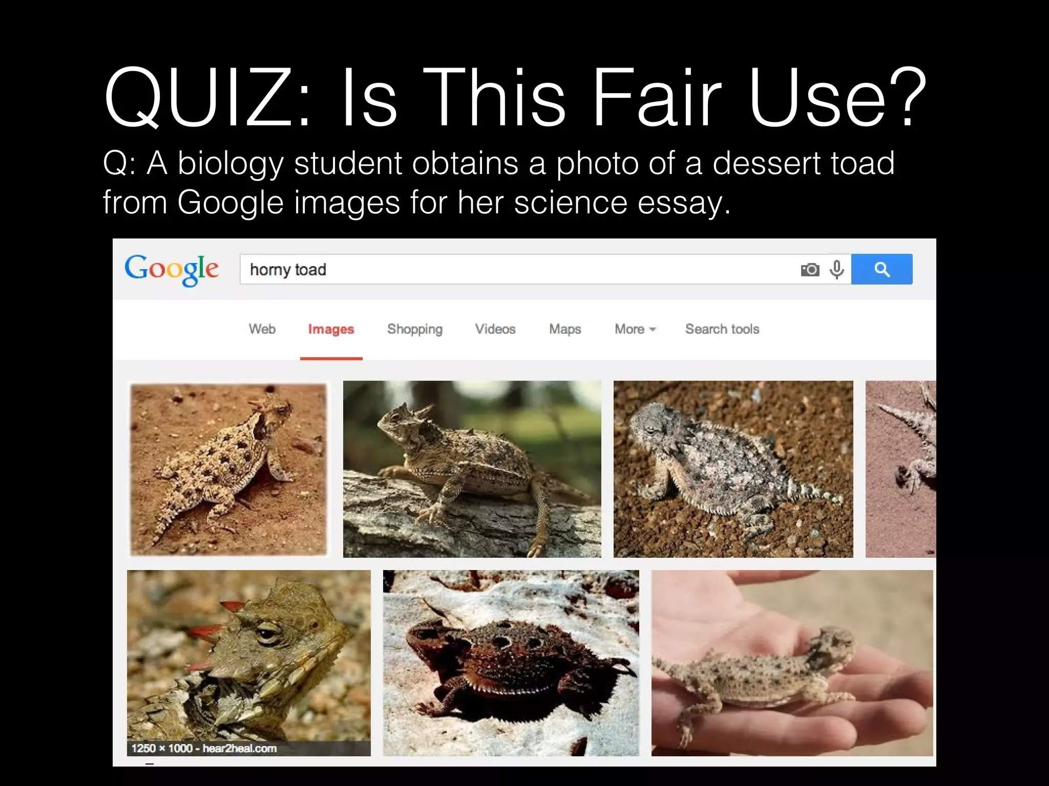 QUIZ: Is This Fair Use?
Q: A biology student obtains a photo of a dessert toad
from Google images for her science essay.
 