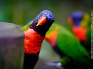 https://www.ﬂickr.com/photos/56218409@N03/15371262455
 