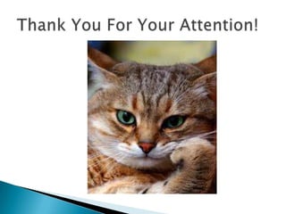 The continuous tense