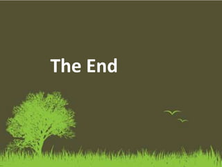 The End
 
