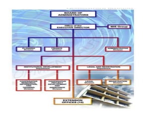 The cooperative development authority