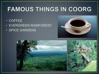 • COFFEE
• EVERGREEN RAINFOREST
• SPICE GARDENS
 