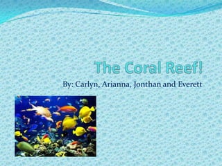 The Coral Reef! By: Carlyn, Arianna, Jonthan and Everett  