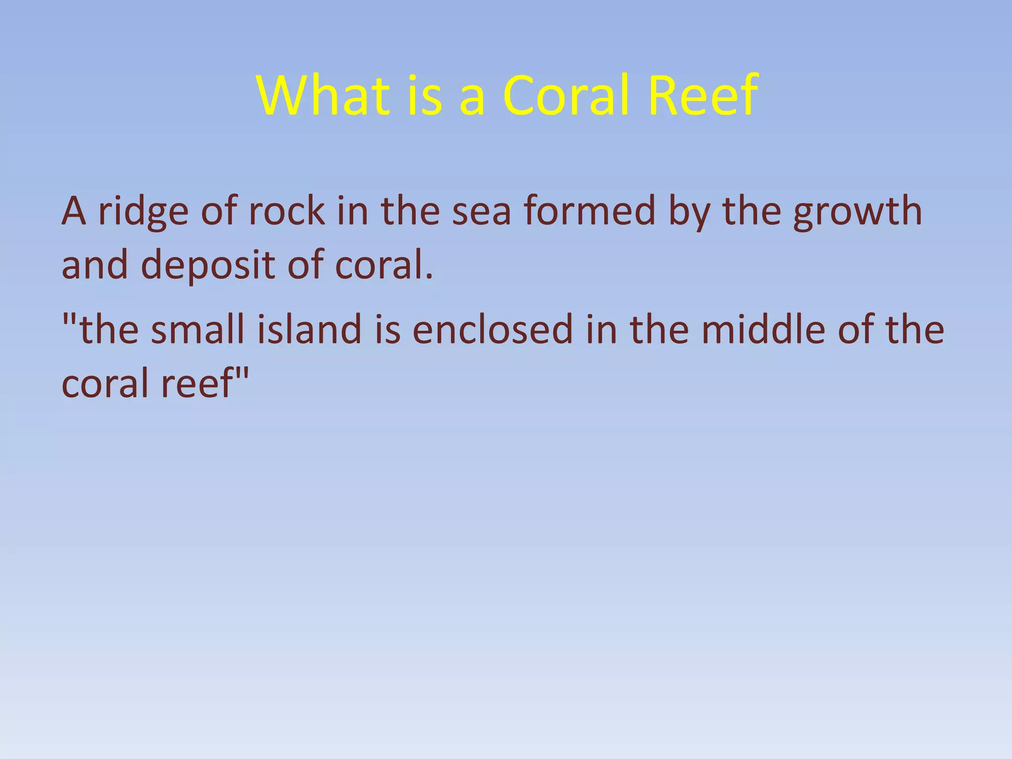 This Statement Will Change How You See Coral Reef Conservation - yhzk6bs