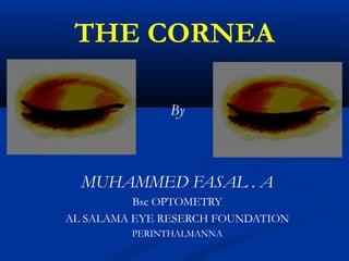 THE CORNEA
By
MUHAMMED FASAL . A
Bsc OPTOMETRY
AL SALAMA EYE RESERCH FOUNDATION
PERINTHALMANNA
 