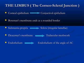 THE LIMBUS ( The Corneo-Scleral Junction )THE LIMBUS ( The Corneo-Scleral Junction )
 Corneal epithelium Conjuctival epitheliumCorneal epithelium Conjuctival epithelium
 Bowman’s membrane ends as a rounded borderBowman’s membrane ends as a rounded border
 Substantia propria Sclera (irregular lamellae)Substantia propria Sclera (irregular lamellae)
 Descemet’s membrane Trabecular meshworkDescemet’s membrane Trabecular meshwork
 Endothelium Endothelium of the angle of ACEndothelium Endothelium of the angle of AC
 