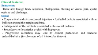 Clinical Features:
Symptoms:
These are: foreign body sensation, photophobia, blurring of vision, pain, eyelid
oedema and discharge.
Signs:
- Conjunctival and circumcorneal injection - Epithelial defects associated with an
infiltrate around the margin and base.
- Enlargement of the infiltrate associated with stromal oedema.
- Secondary sterile anterior uveitis with hypopyon.
- Progressive ulceration may lead to corneal perforation and bacterial
endophthalmitis (involvement of all intraocular tissues).
 