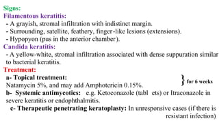 Signs:
Filamentous keratitis:
- A grayish, stromal infiltration with indistinct margin.
- Surrounding, satellite, feathery, finger-like lesions (extensions).
- Hypopyon (pus in the anterior chamber).
Candida keratitis:
- A yellow-white, stromal infiltration associated with dense suppuration similar
to bacterial keratitis.
Treatment:
a- Topical treatment:
Natamycin 5%, and may add Amphotericin 0.15%.
b- Systemic antimycotics: e.g. Ketoconazole (tabl ets) or Itraconazole in
severe keratitis or endophthalmitis.
c- Therapeutic penetrating keratoplasty: In unresponsive cases (if there is
resistant infection)
}for 6 weeks
 
