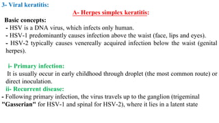 3- Viral keratitis:
A- Herpes simplex keratitis:
Basic concepts:
- HSV is a DNA virus, which infects only human.
- HSV-1 predominantly causes infection above the waist (face, lips and eyes).
- HSV-2 typically causes venereally acquired infection below the waist (genital
herpes).
i- Primary infection:
It is usually occur in early childhood through droplet (the most common route) or
direct inoculation.
ii- Recurrent disease:
- Following primary infection, the virus travels up to the ganglion (trigeminal
"Gasserian" for HSV-1 and spinal for HSV-2), where it lies in a latent state
 