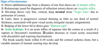 The cornea .pdf