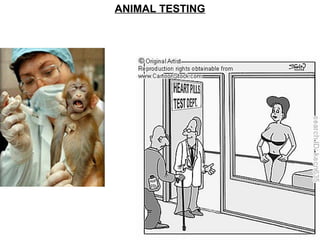 ANIMAL TESTING
 