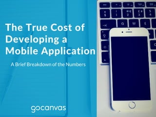 The True Cost of
Developing a
Mobile Application
A Brief Breakdown of the Numbers
 