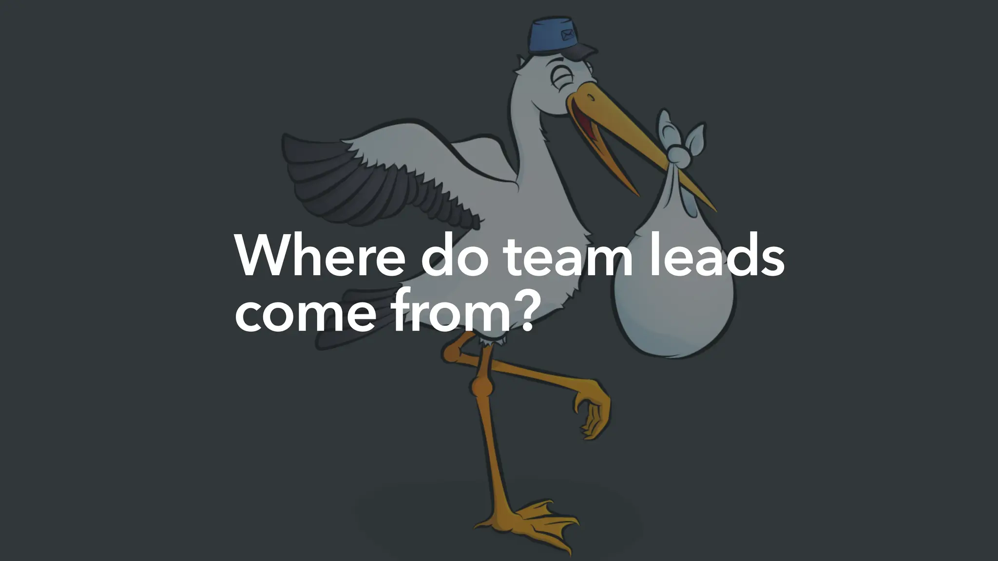 Where do team leads
come from?
 