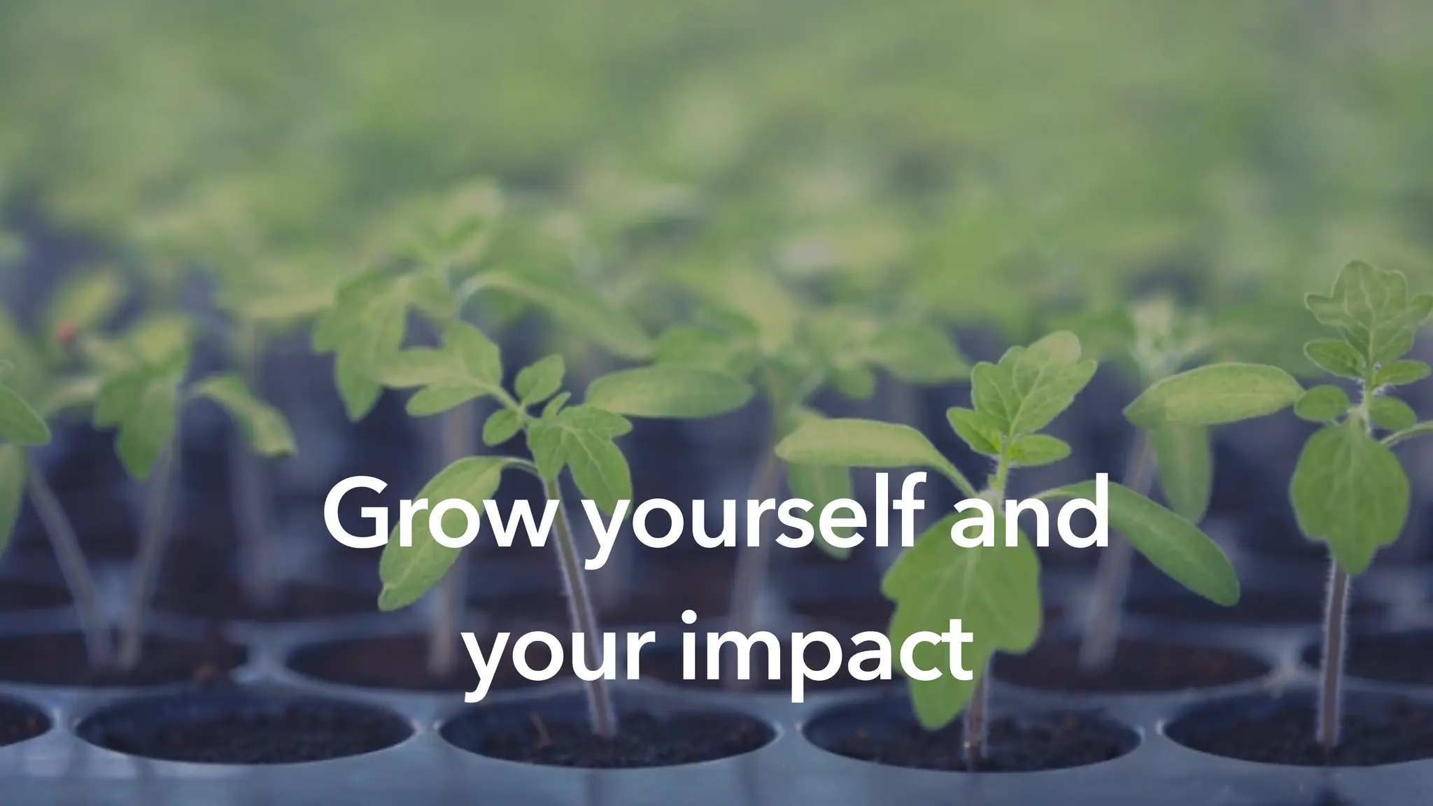 Grow yourself and
your impact
 