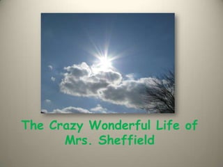 The Crazy Wonderful Life of Mrs. Sheffield 